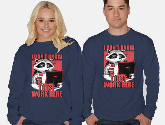 Raccoon Tired Work