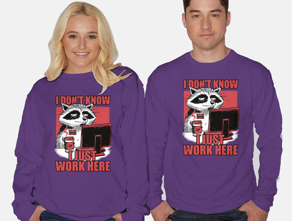 Raccoon Tired Work
