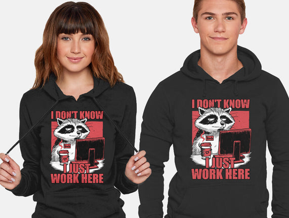 Raccoon Tired Work