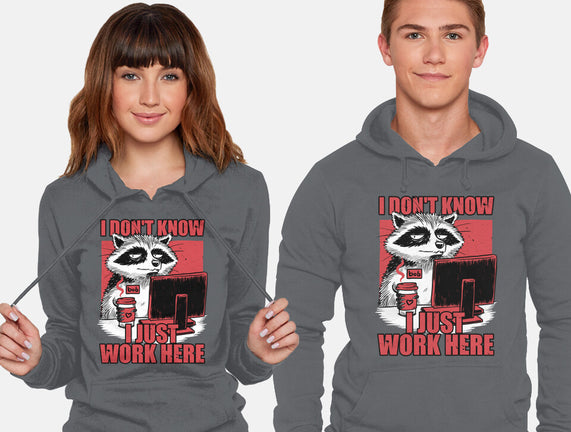 Raccoon Tired Work
