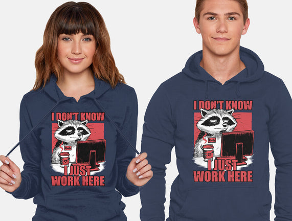 Raccoon Tired Work