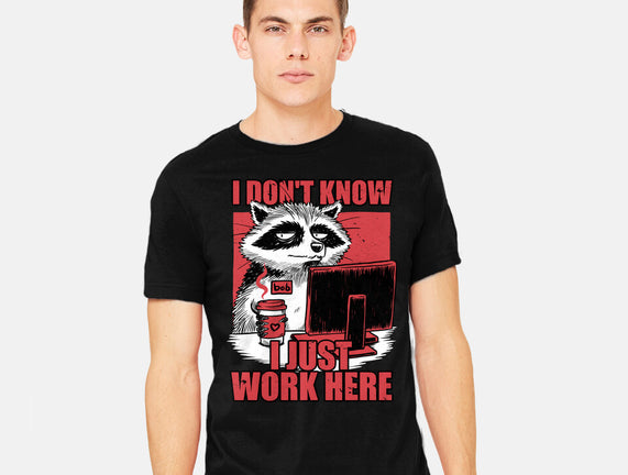 Raccoon Tired Work