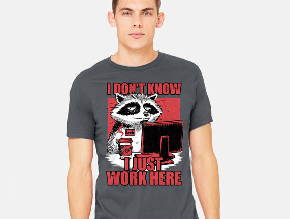 Raccoon Tired Work