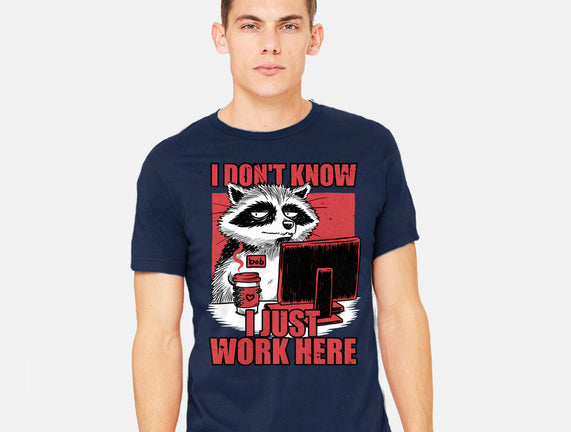 Raccoon Tired Work