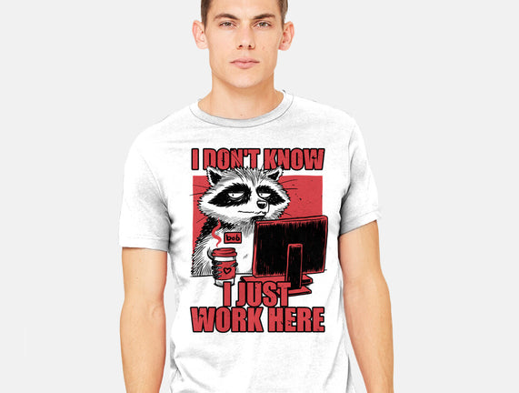 Raccoon Tired Work