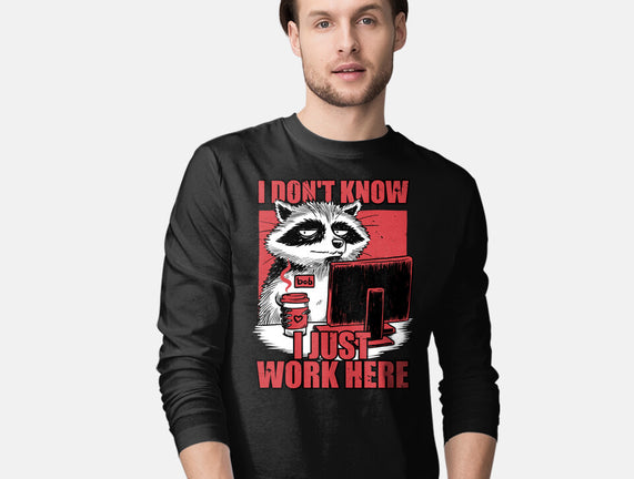 Raccoon Tired Work