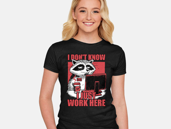 Raccoon Tired Work