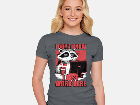 Raccoon Tired Work