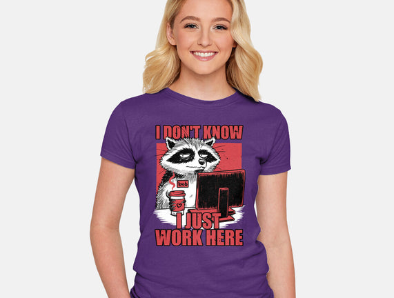 Raccoon Tired Work