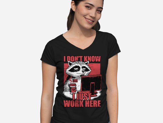 Raccoon Tired Work
