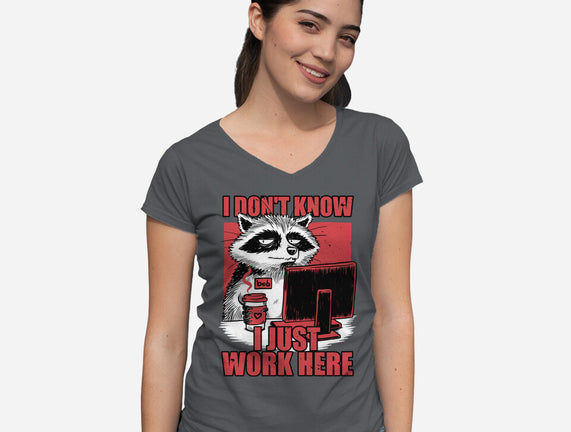 Raccoon Tired Work