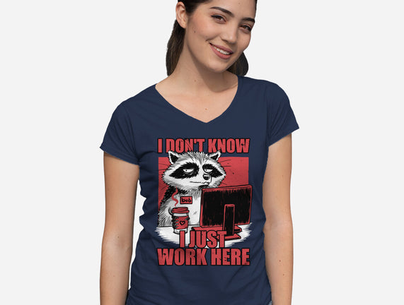 Raccoon Tired Work