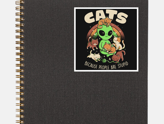 Cats Because People Are Stupid