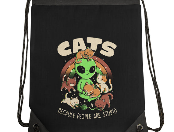 Cats Because People Are Stupid