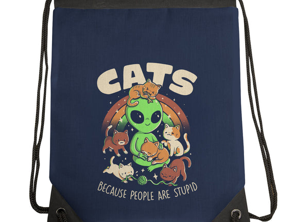 Cats Because People Are Stupid