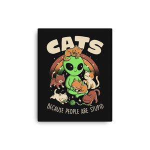 Cats Because People Are Stupid