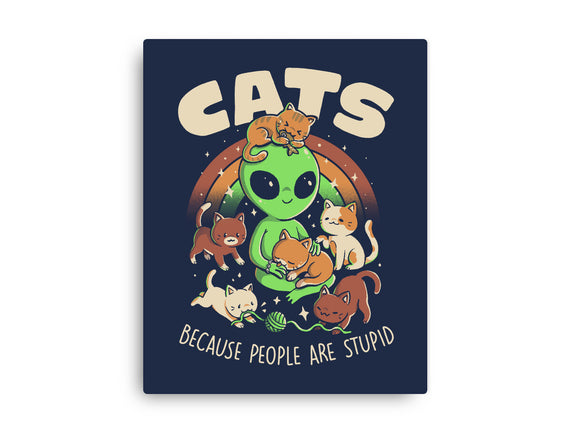 Cats Because People Are Stupid