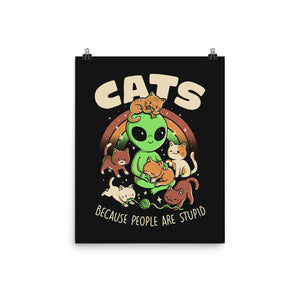 Cats Because People Are Stupid