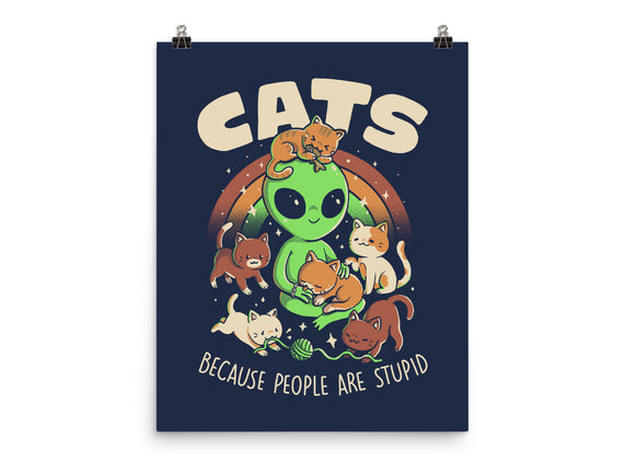 Cats Because People Are Stupid