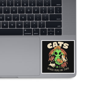Cats Because People Are Stupid