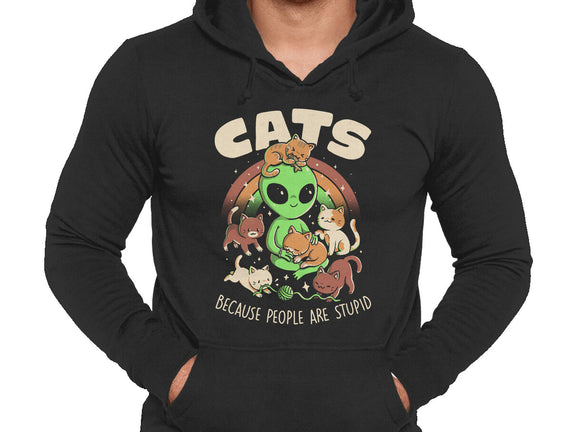 Cats Because People Are Stupid