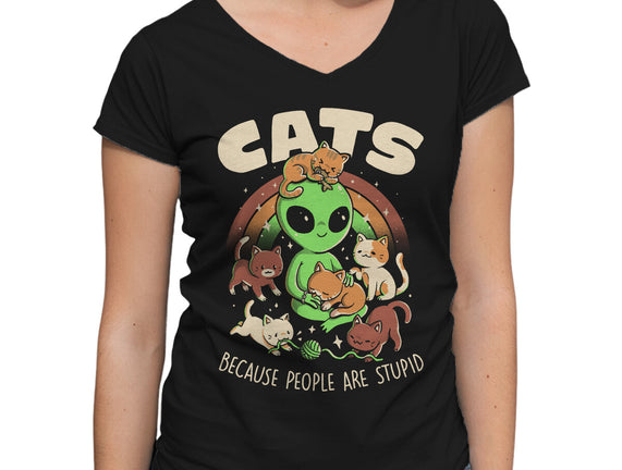Cats Because People Are Stupid