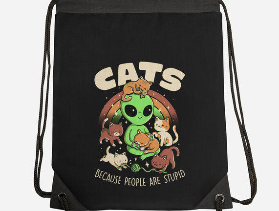 Cats Because People Are Stupid
