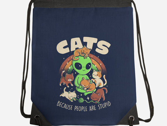 Cats Because People Are Stupid