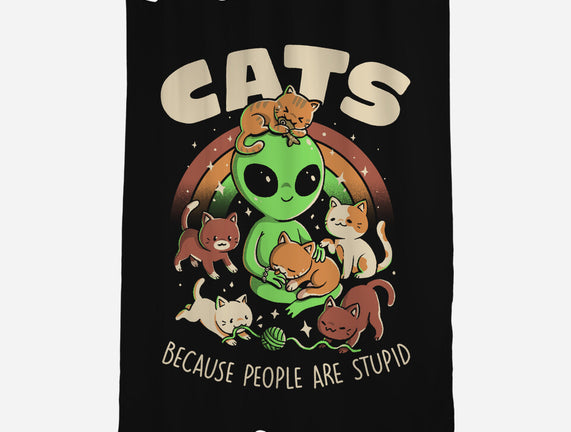Cats Because People Are Stupid