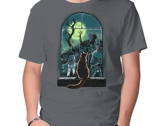 Watching The Zombies