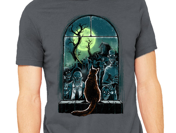 Watching The Zombies