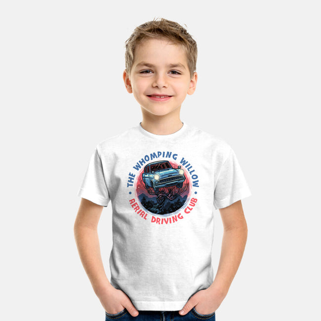 Aerial Driving Club-Youth-Basic-Tee-glitchygorilla