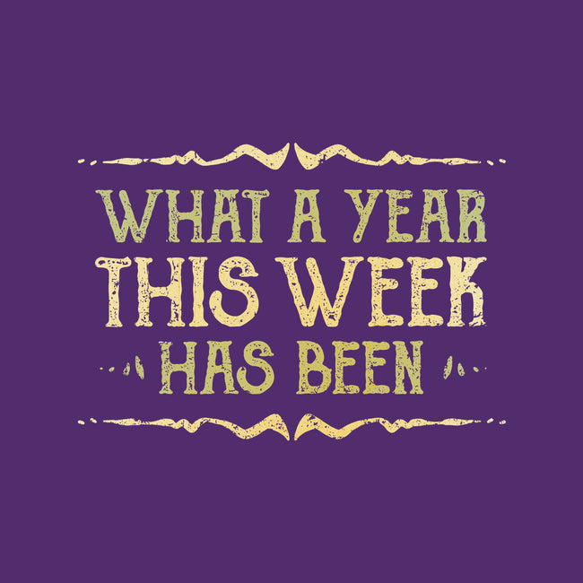 What A Year This Week Has Been-Womens-Fitted-Tee-kg07