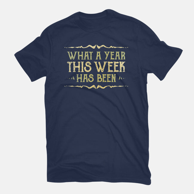 What A Year This Week Has Been-Womens-Fitted-Tee-kg07