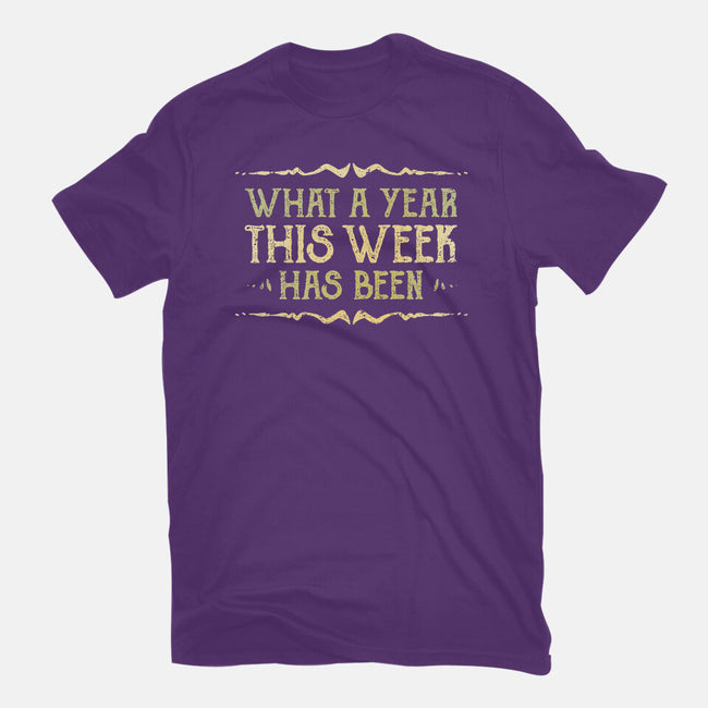 What A Year This Week Has Been-Womens-Fitted-Tee-kg07