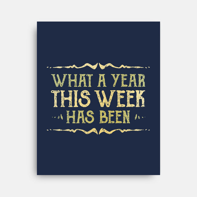 What A Year This Week Has Been-None-Stretched-Canvas-kg07