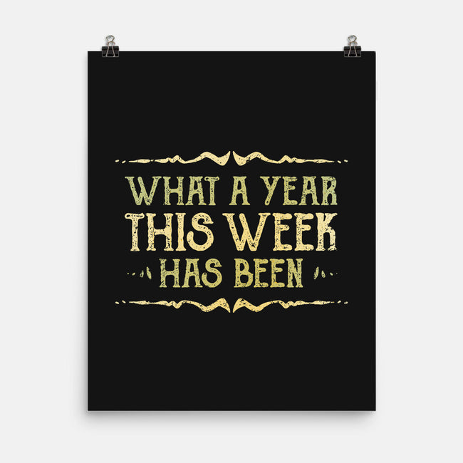 What A Year This Week Has Been-None-Matte-Poster-kg07