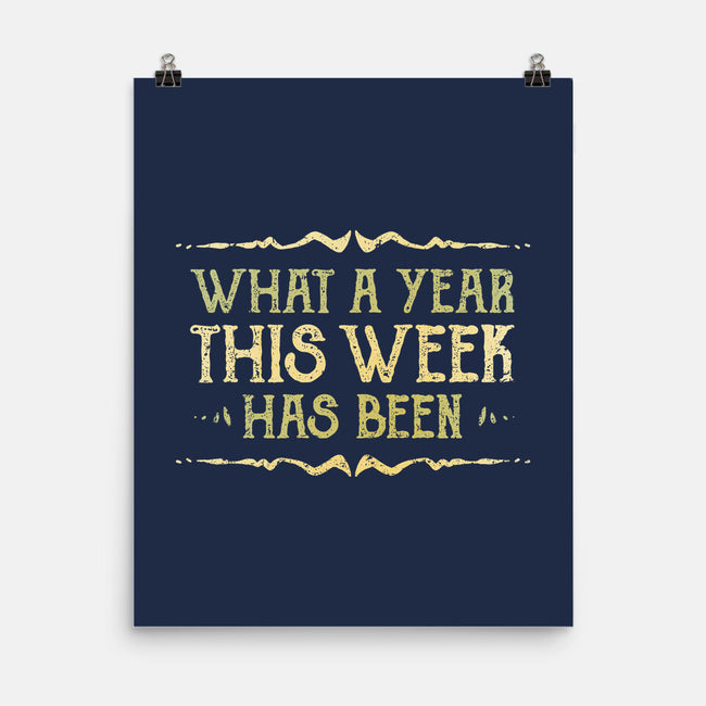 What A Year This Week Has Been-None-Matte-Poster-kg07