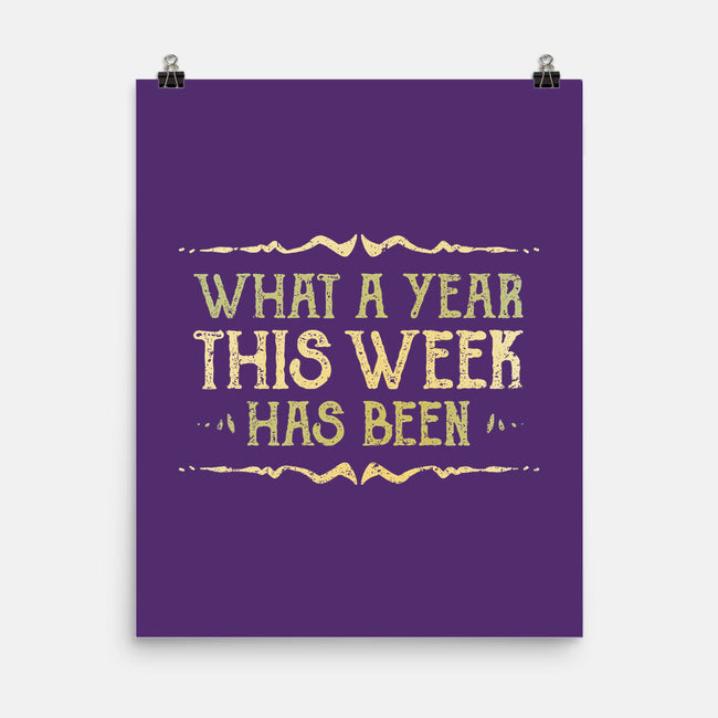 What A Year This Week Has Been-None-Matte-Poster-kg07