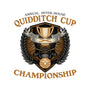 Quidditch Cup Championship-None-Stretched-Canvas-glitchygorilla