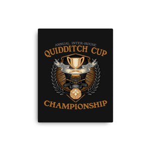 Quidditch Cup Championship