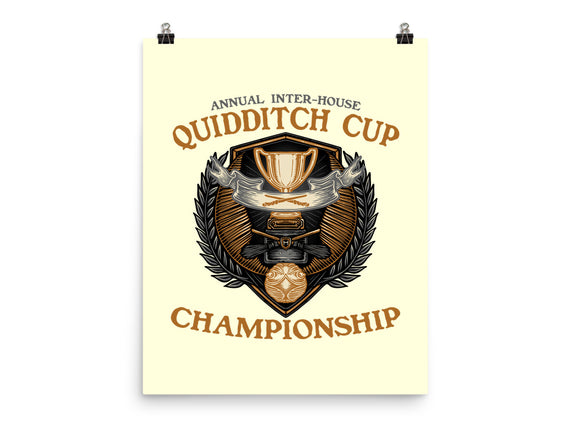 Quidditch Cup Championship