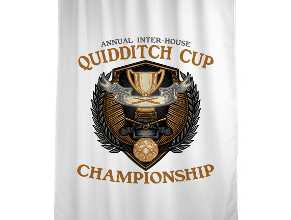 Quidditch Cup Championship