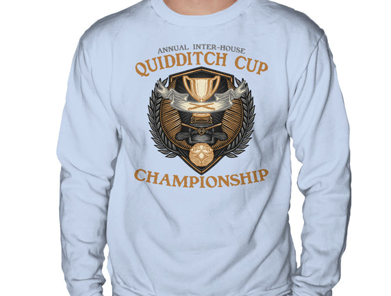 Quidditch Cup Championship