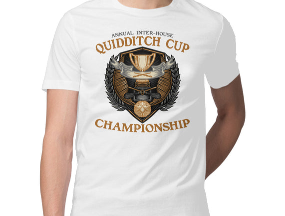 Quidditch Cup Championship