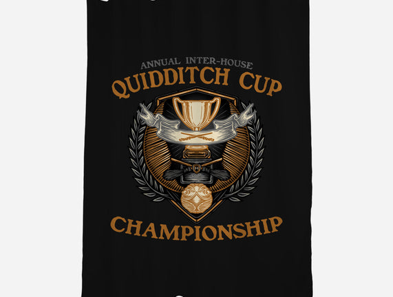Quidditch Cup Championship