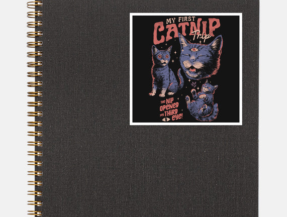 My First Catnip Trip