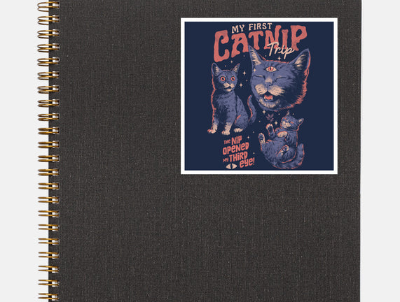 My First Catnip Trip