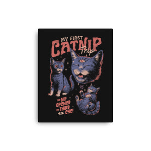 My First Catnip Trip