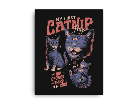 My First Catnip Trip